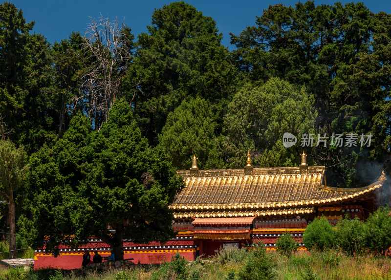 甘南草原风光郎木寺拉卜楞寺