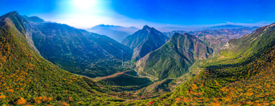 三峡红叶