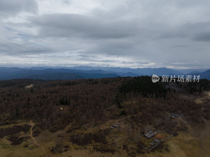 航拍香格里拉云雾中宏伟的雪山、森林