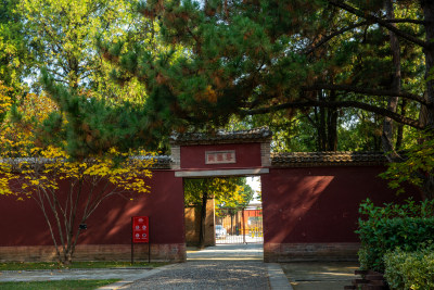 山西芮城永乐宫道教吕洞宾古建墙绘文化遗产