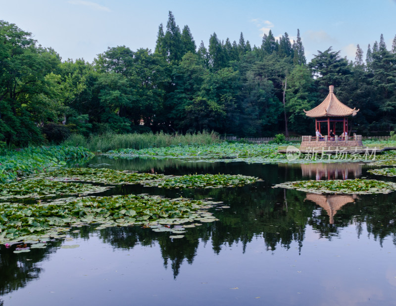 青岛中山公园小西湖夏日湖中小亭倒影