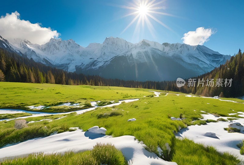 雪山高原草原森林风景