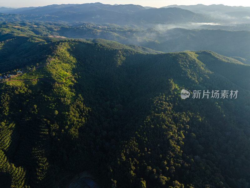 航拍视角下的大片绿色山林山脉全景