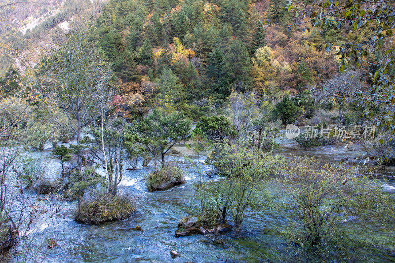 九寨沟秋色，盆景滩山林溪流