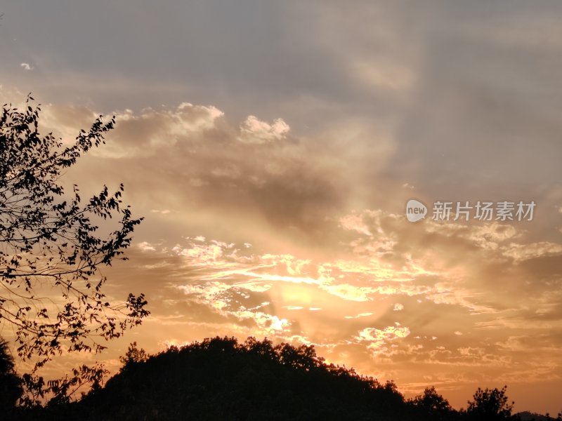 夕阳下的天空与树木剪影