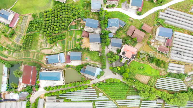 航拍乡村田园农业种植基地