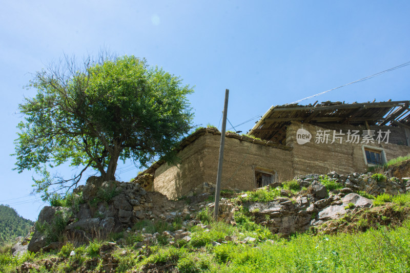 高原草原