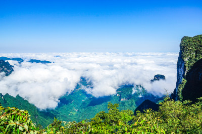 湖南省张家界市5A景区天门山国家森林公园