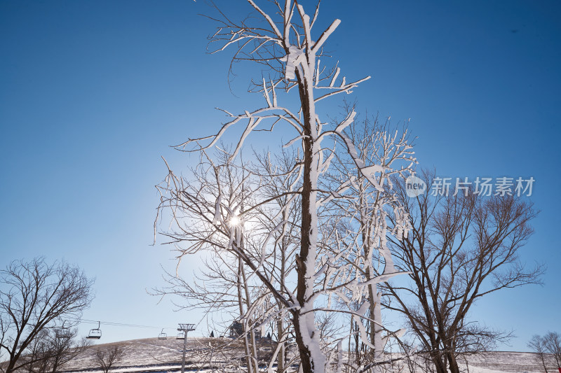 冰天雪地