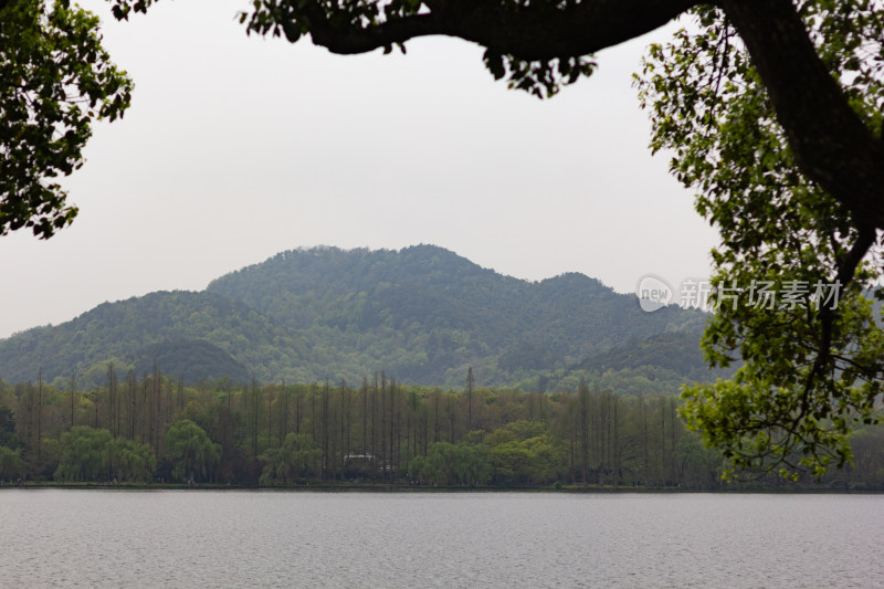 西湖苏堤边树木葱郁中的雷峰塔远景