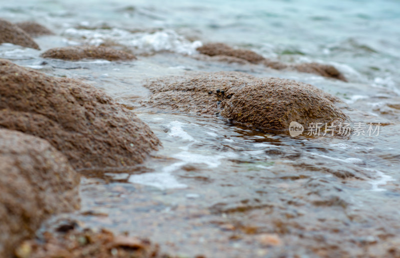 海边礁石在海浪拍打下的特写