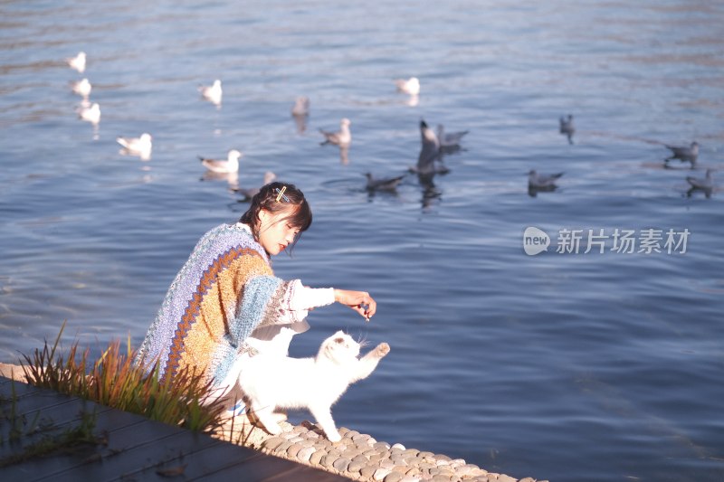 温暖阳光下在湖边喂鸟的温柔女子肖像