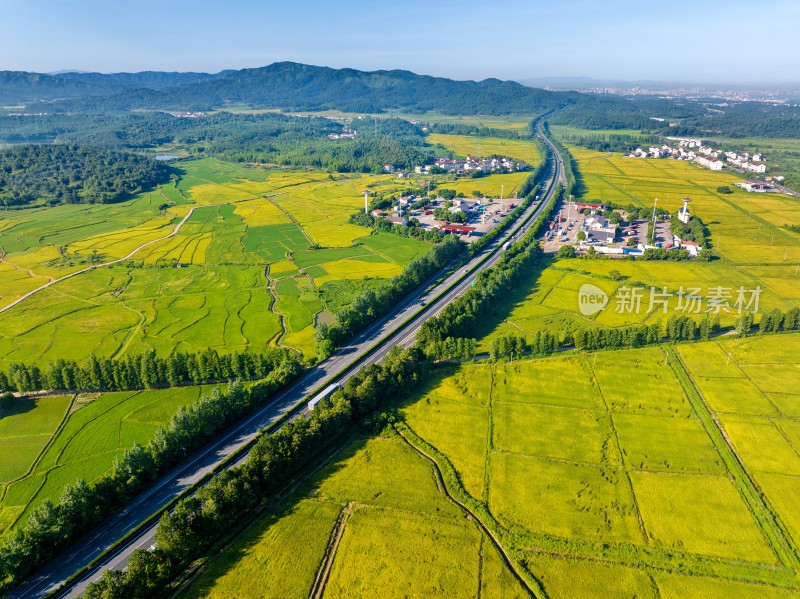 江西金溪：路畅稻黄乡村美