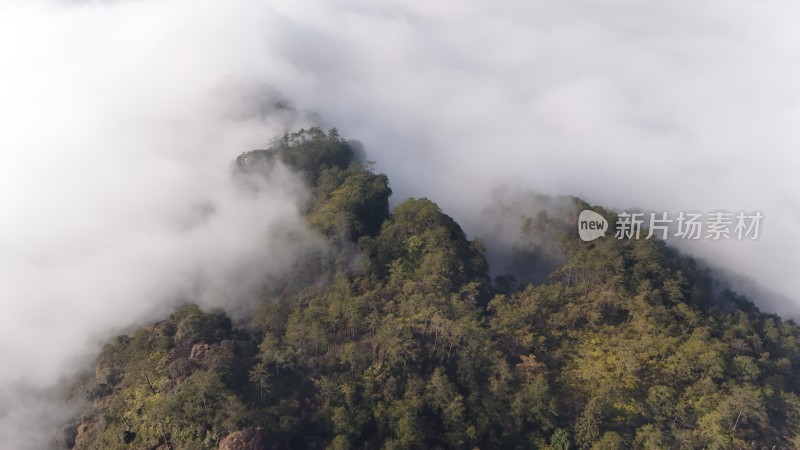 云雾缭绕的山林自然景观