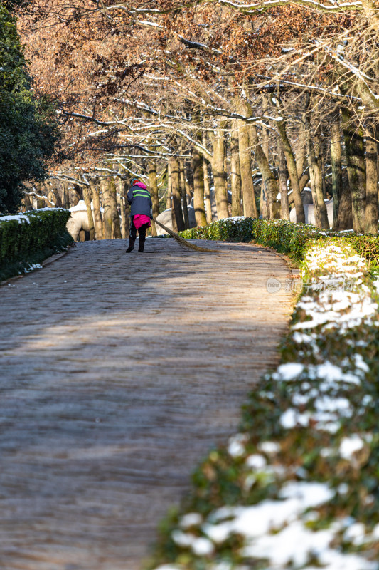 南京明孝陵石象路神道雪景