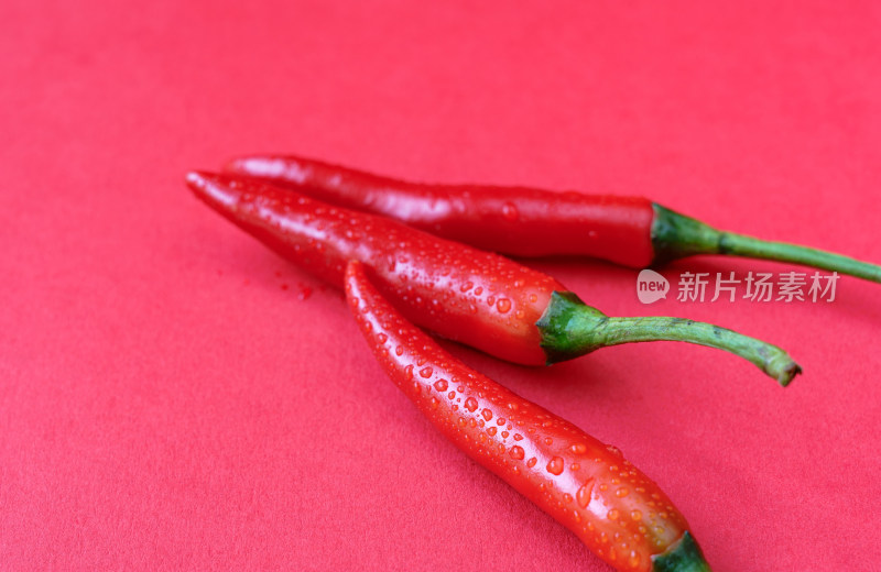 红色背景鲜艳的红辣椒