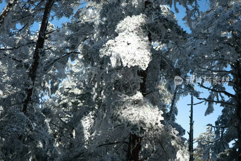 冰雪锁大山，雪境奇美入画笺