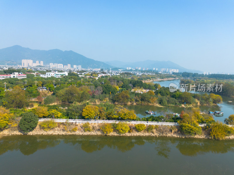 福州多彩树林沿水域分布的自然风景航拍