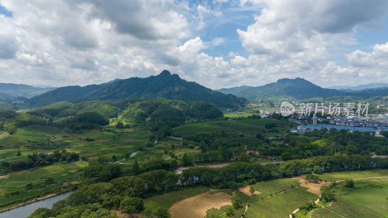 航拍武夷山绿色农田与茶园