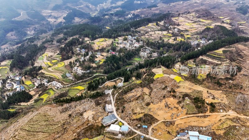 重庆酉阳：月亮村油菜花开了