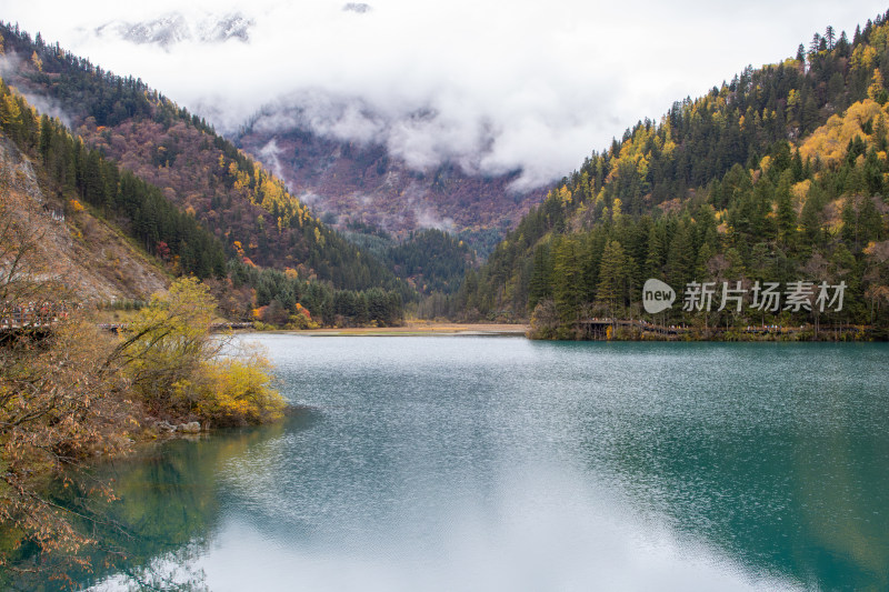 九寨沟秋色，箭竹海和秋景山林