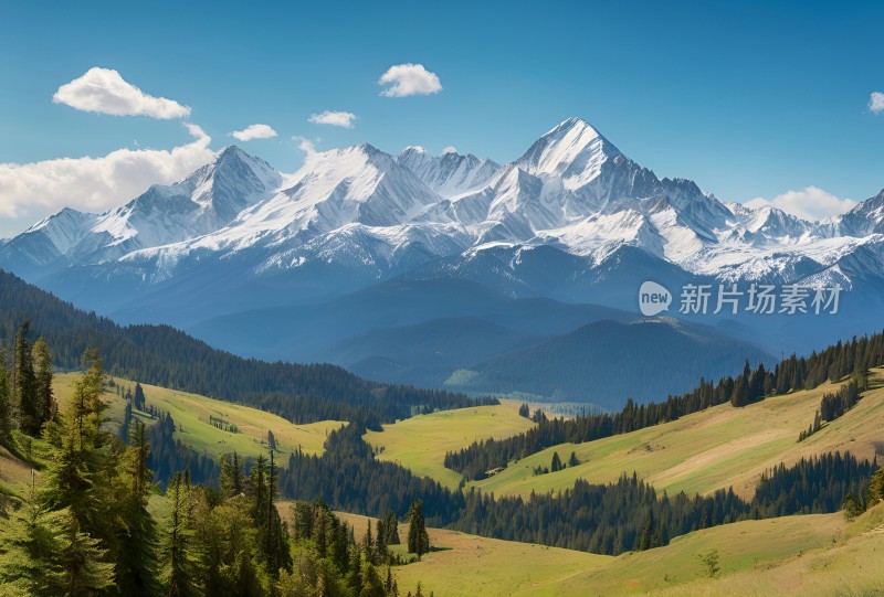 雪山高原草原森林风景