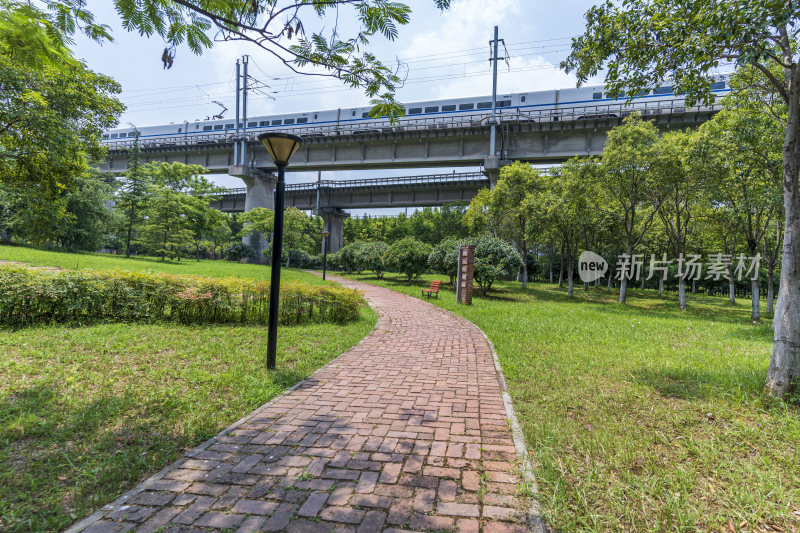 武汉青山区戴家湖公园风景