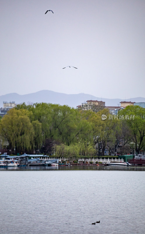 北京什刹海后海公园景点景观