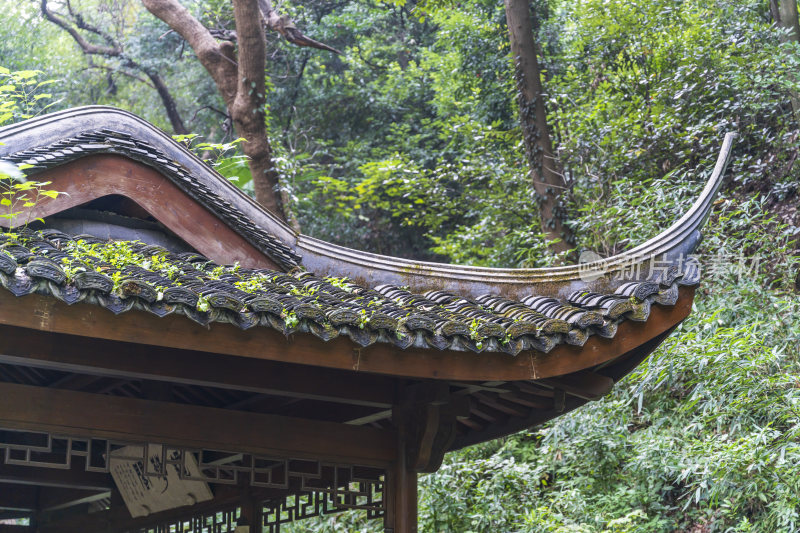 杭州三台山留馀山居风景