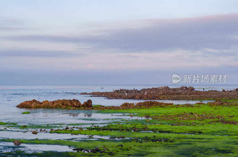 中国青岛小麦岛风光