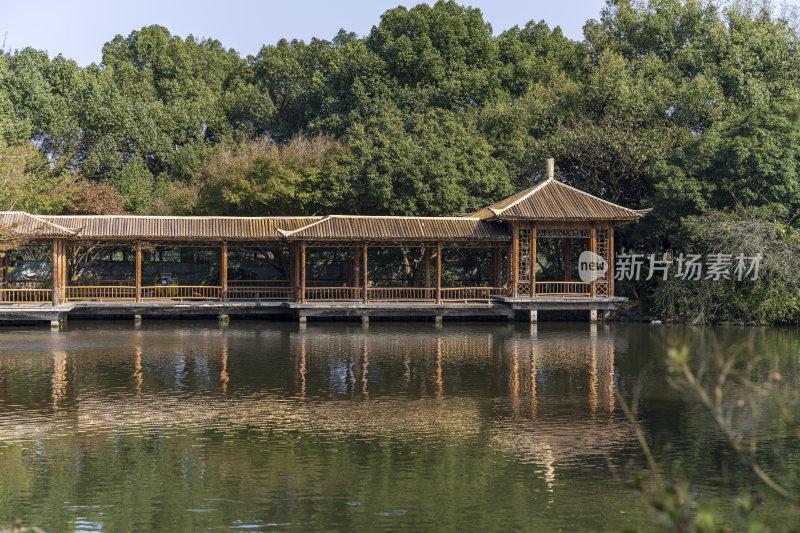 杭州西湖花港观鱼风景