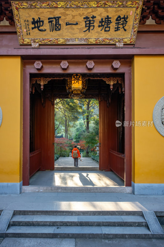 浙江杭州永福禅寺古寺秋景枫树红叶禅意