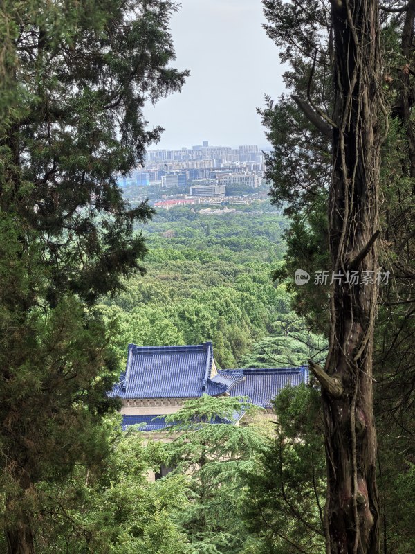 南京中山陵：山林间蓝顶建筑