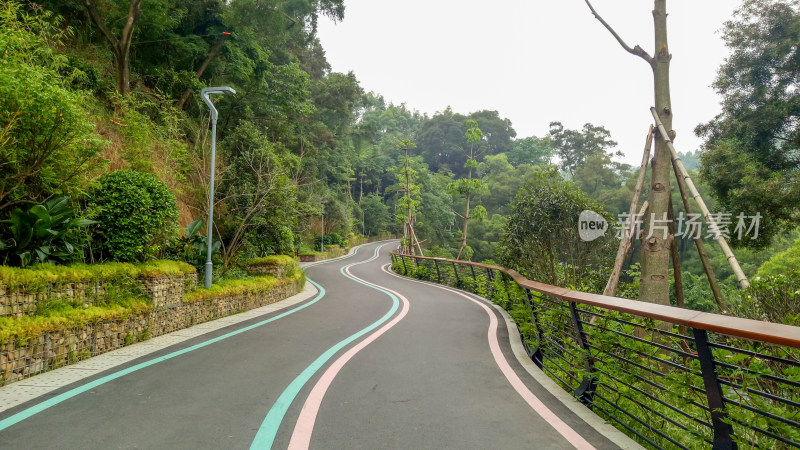 山间蜿蜒的彩色道路