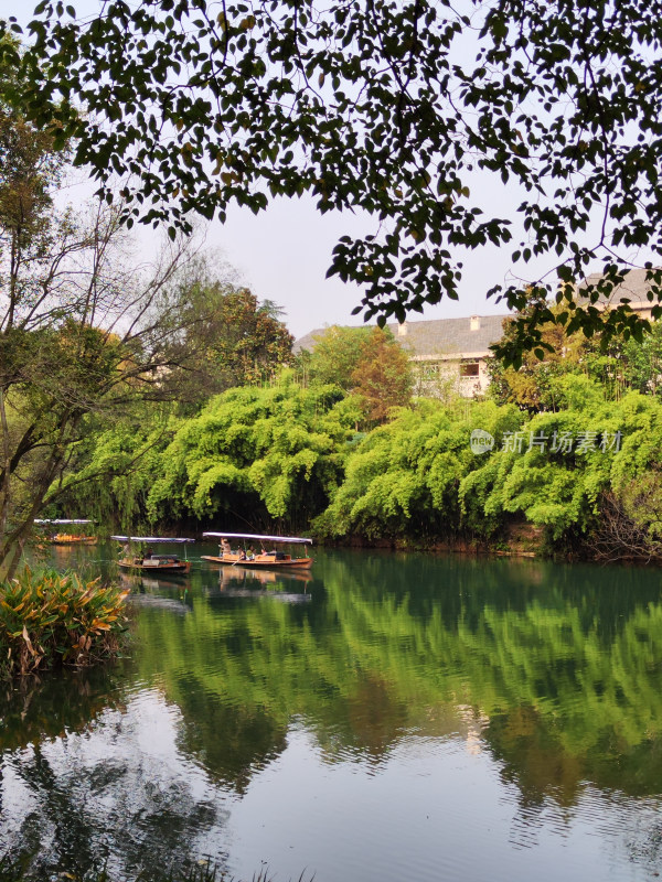 浴鹄湾上船只与周边绿植风景