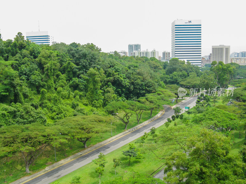 新加坡徒步路线 南部山脊