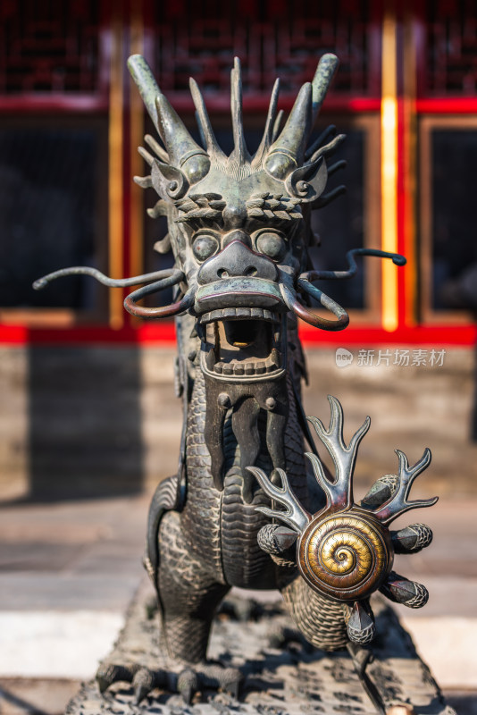 中国 北京 故宫 历史建筑 古建 龙形雕塑