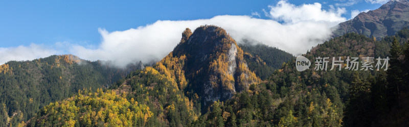 秋季五彩森林山峰云雾