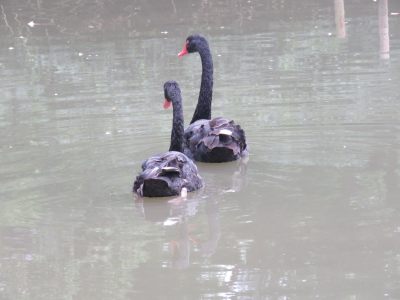 江苏无锡太湖鼋头渚风景区