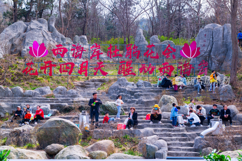 青岛大珠山杜鹃花风光