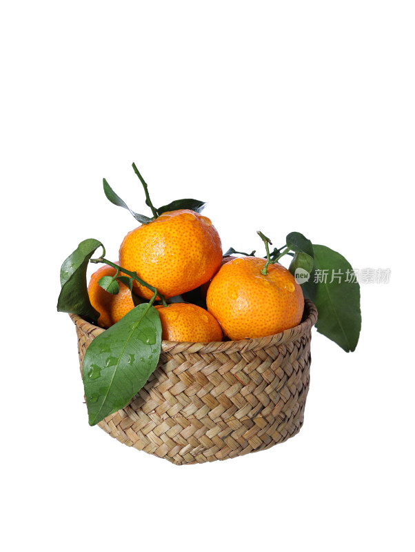 一篮子新鲜水果砂糖桔的白底图