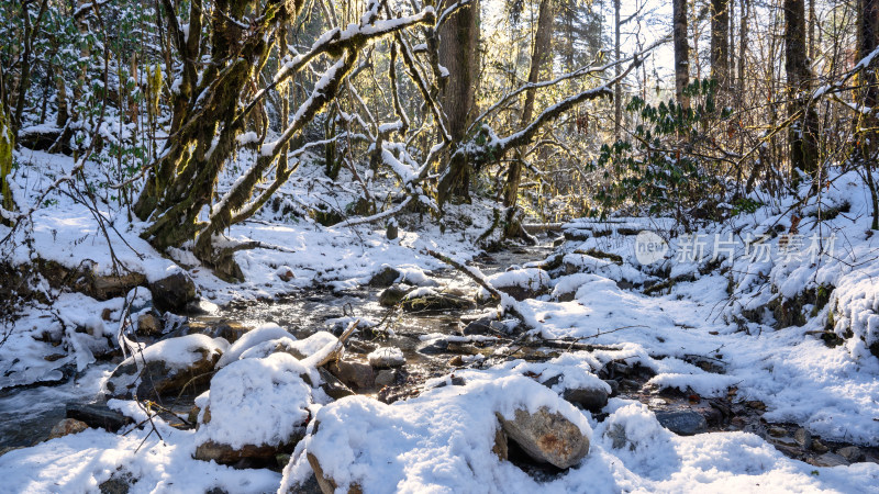 四川甘孜海螺沟景区冬季的雪水