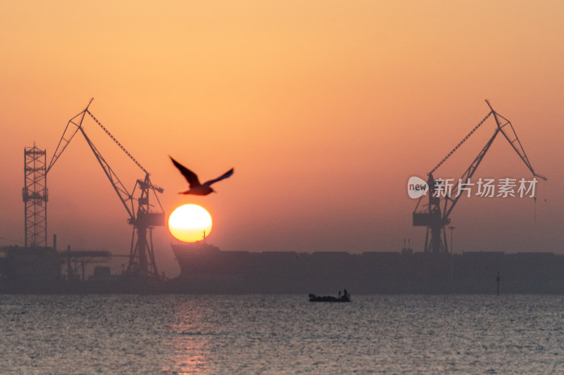 落日与海鸥