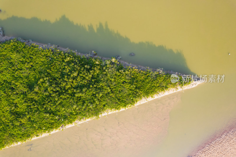 湛江高桥红树林保护区