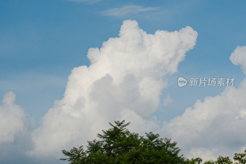 蓝天背景下的大片白云景象