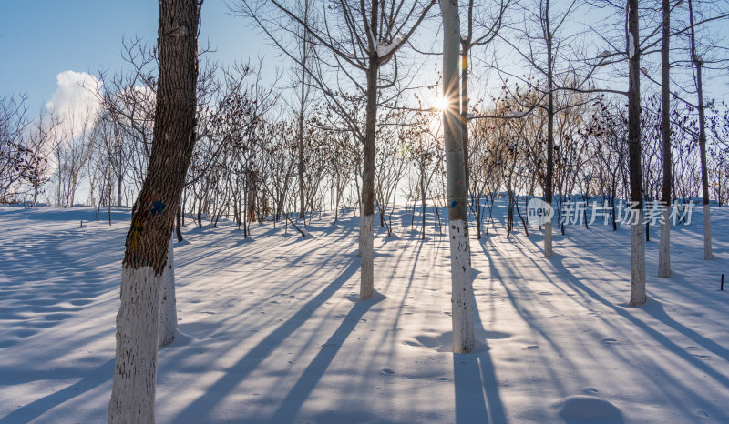 冬天雪后风景