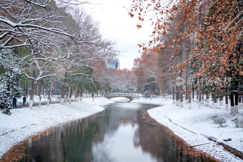 武汉冬天解放公园雪景