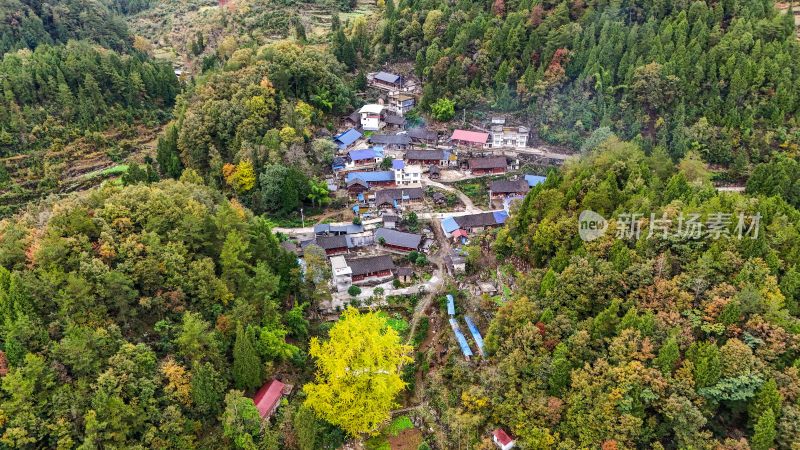 重庆酉阳：白果树边的美景