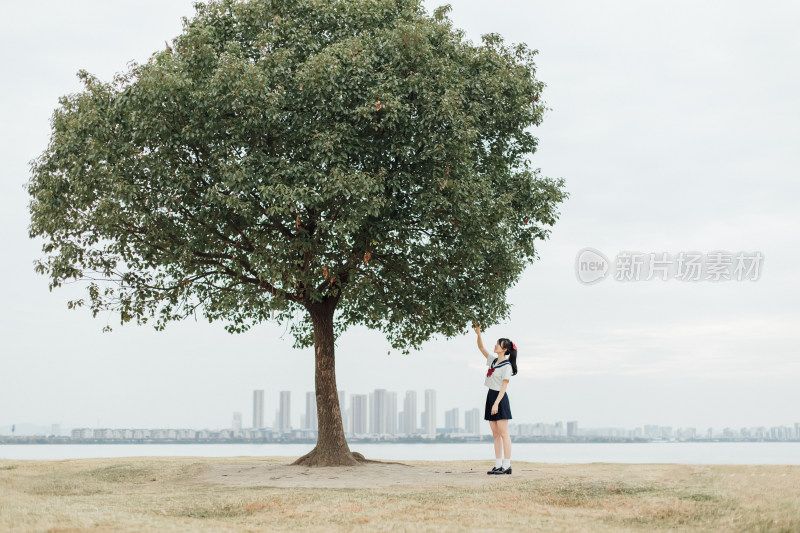 在苏州半月湾一棵树拍摄的JK制服写真