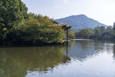 杭州西湖花港观鱼风景